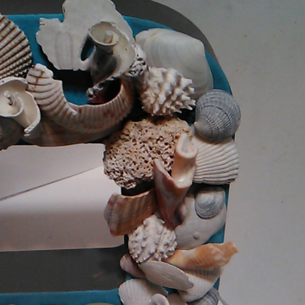 Shell Shelf Sitter - Picture 5 of 14
